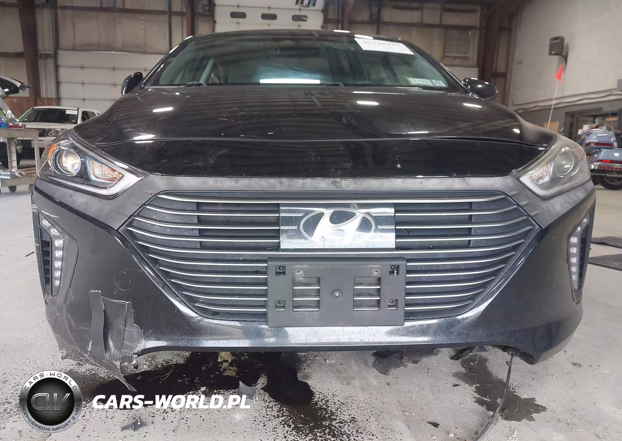 2019 Hyundai Ioniq Hybrid Limited VIN:KMHC85LC0KU128741 - 6