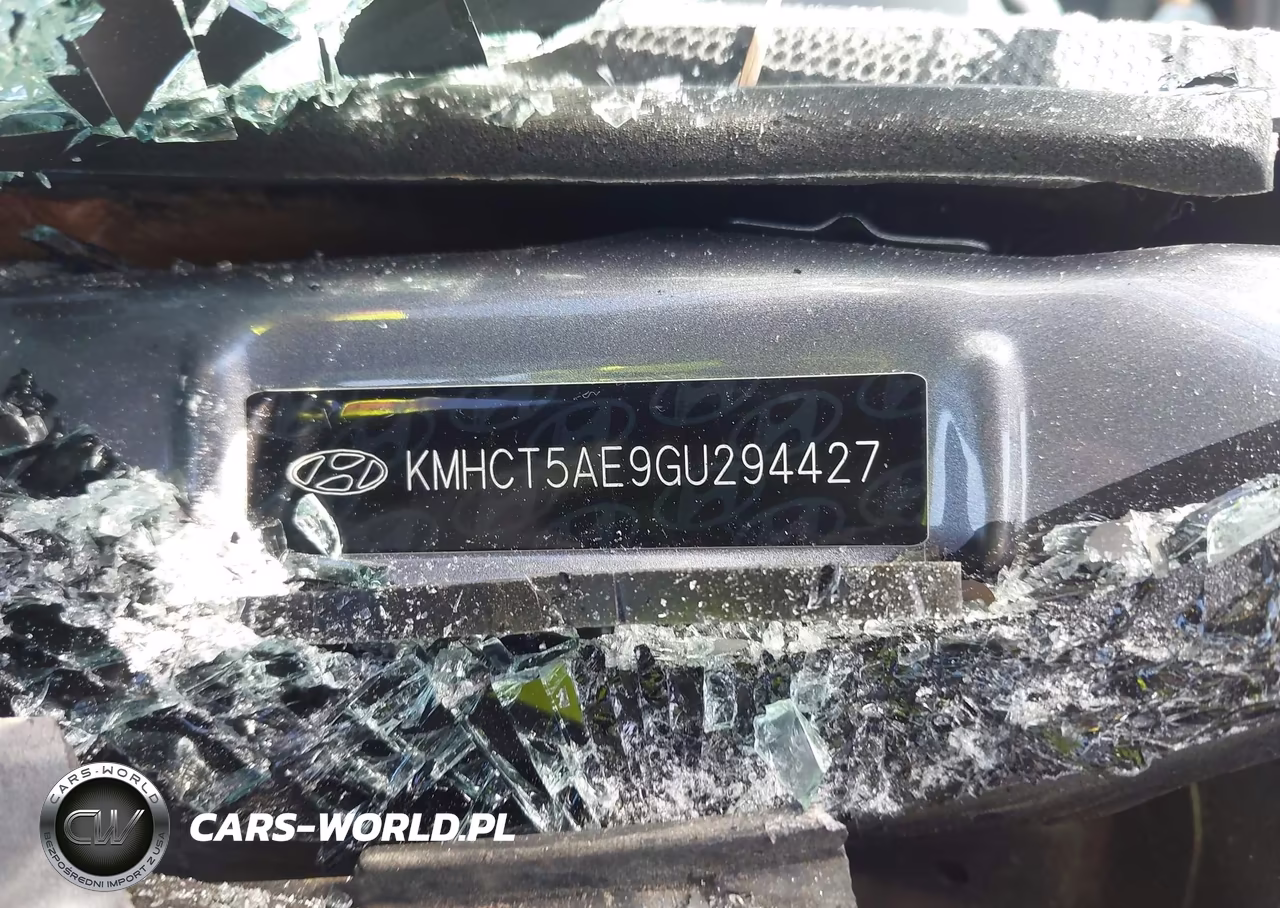 2016 Hyundai Accent Se VIN:KMHCT5AE9GU294427 - 9