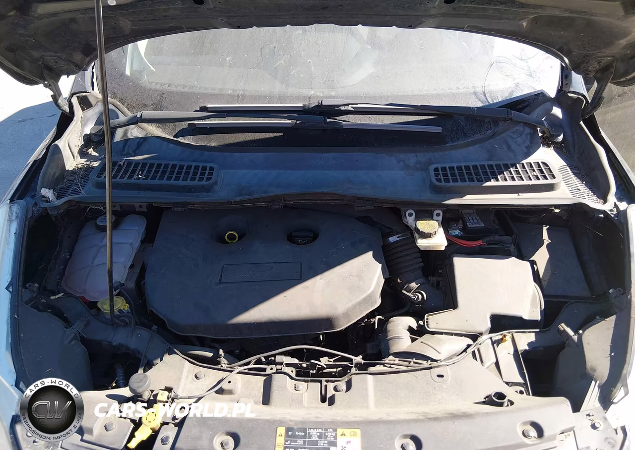 2014 Ford Escape Se VIN:1FMCU0G97EUC69064 - 10