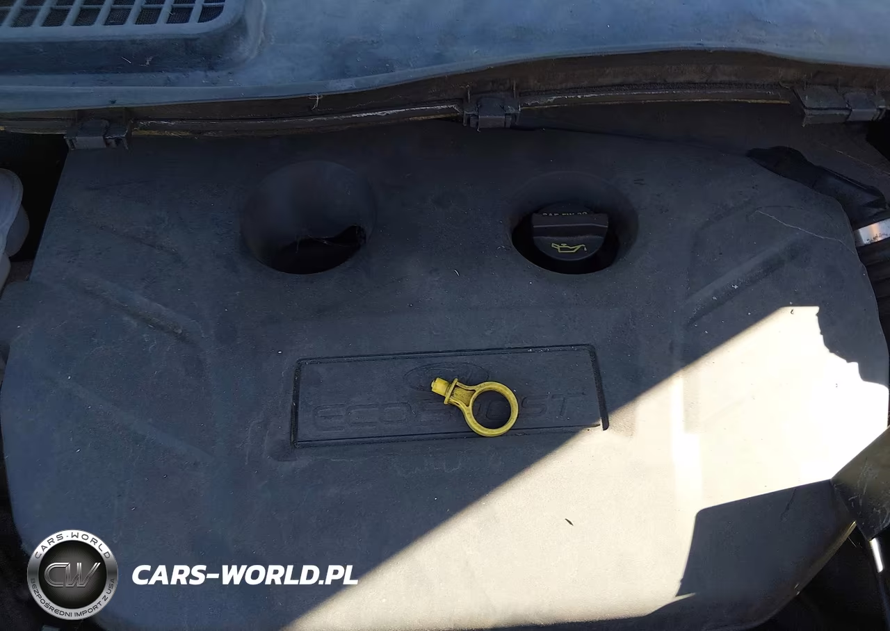 2014 Ford Escape Se VIN:1FMCU0G97EUC69064 - 6