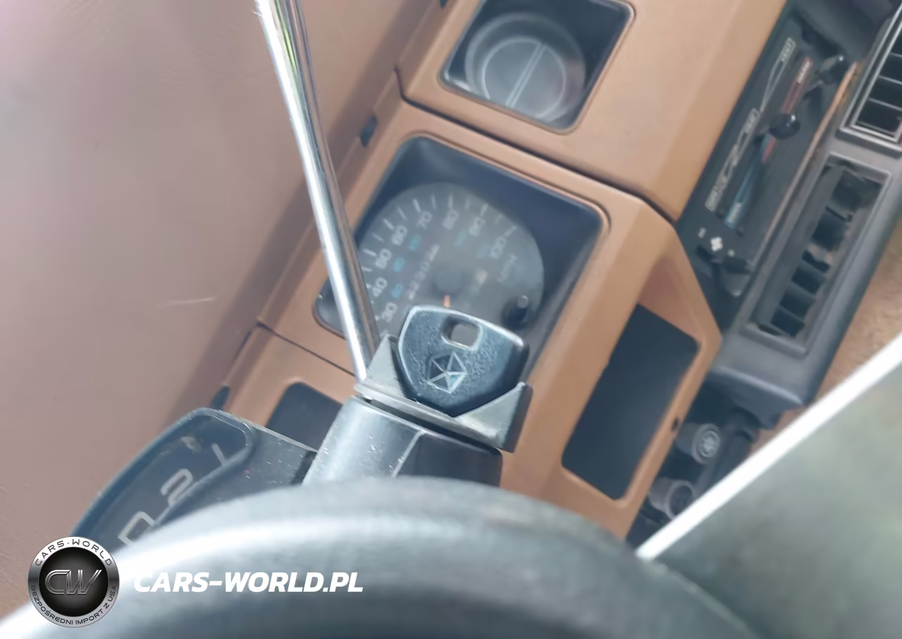 1994 Jeep Wrangler - Yj Se VIN:1J4FY29S3RP461503 - 11