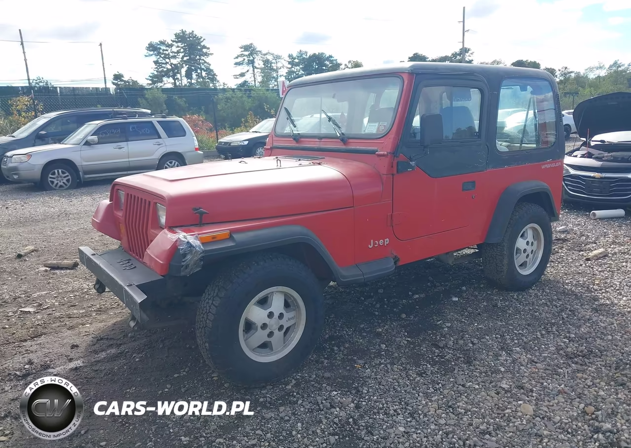 1994 Jeep Wrangler - Yj Se VIN:1J4FY29S3RP461503 - 2