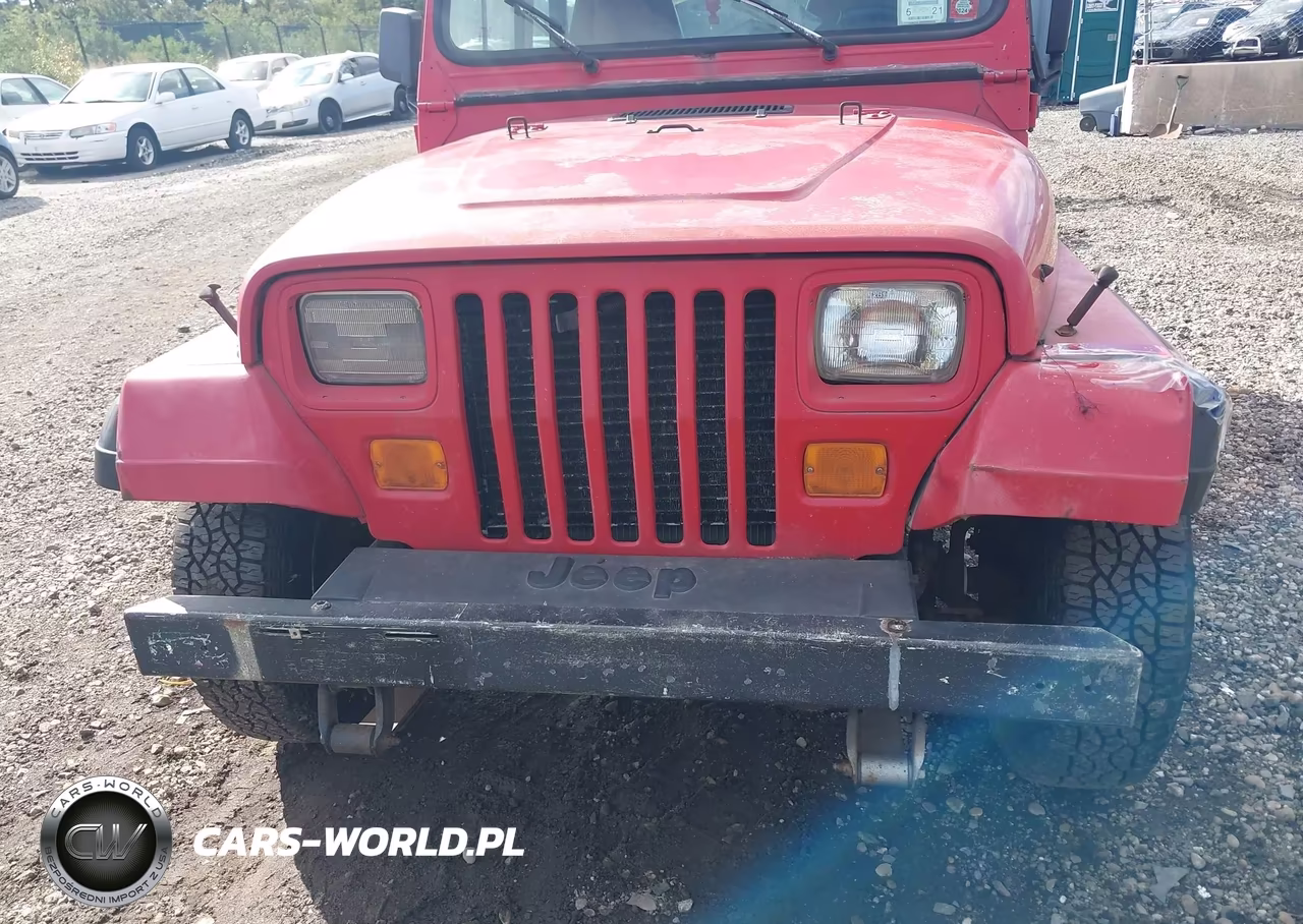 1994 Jeep Wrangler - Yj Se VIN:1J4FY29S3RP461503 - 6