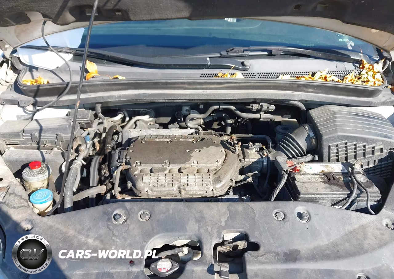 2006 Honda Odyssey Ex-L VIN:5FNRL38656B459771 - 10