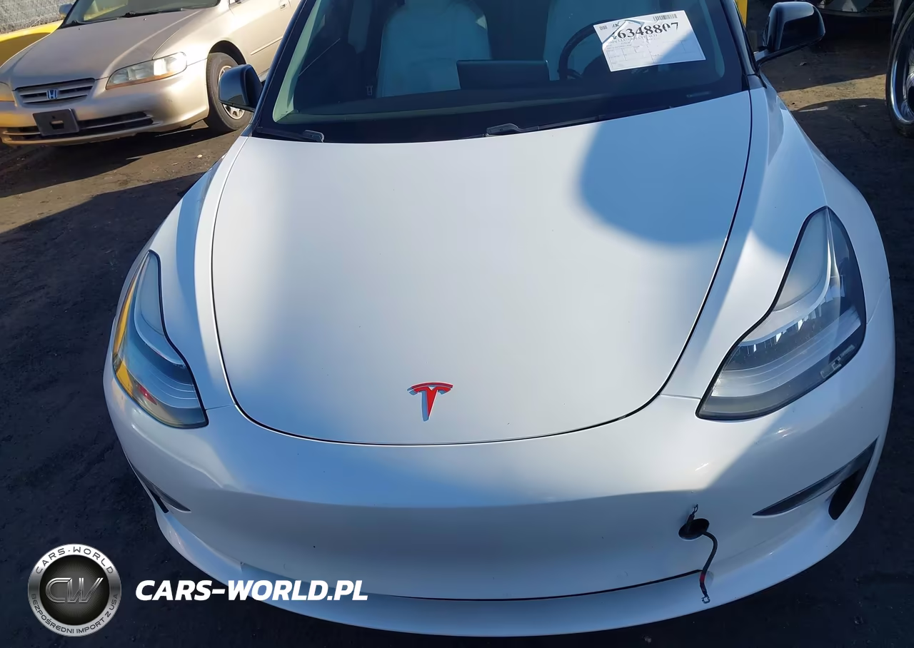 2019 Tesla Model 3 VIN:5YJ3E1EB6KF150486 - 10