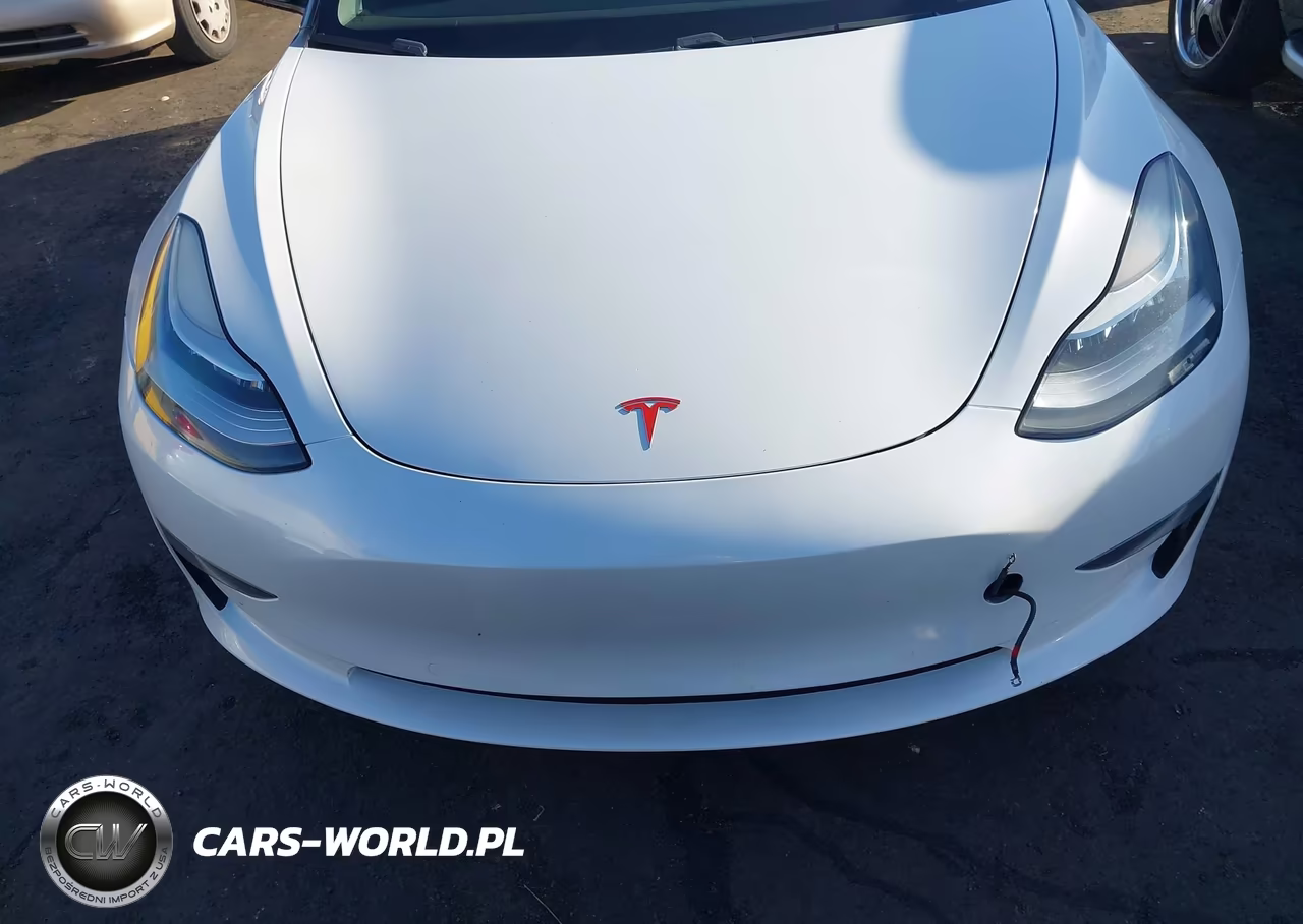 2019 Tesla Model 3 VIN:5YJ3E1EB6KF150486 - 12