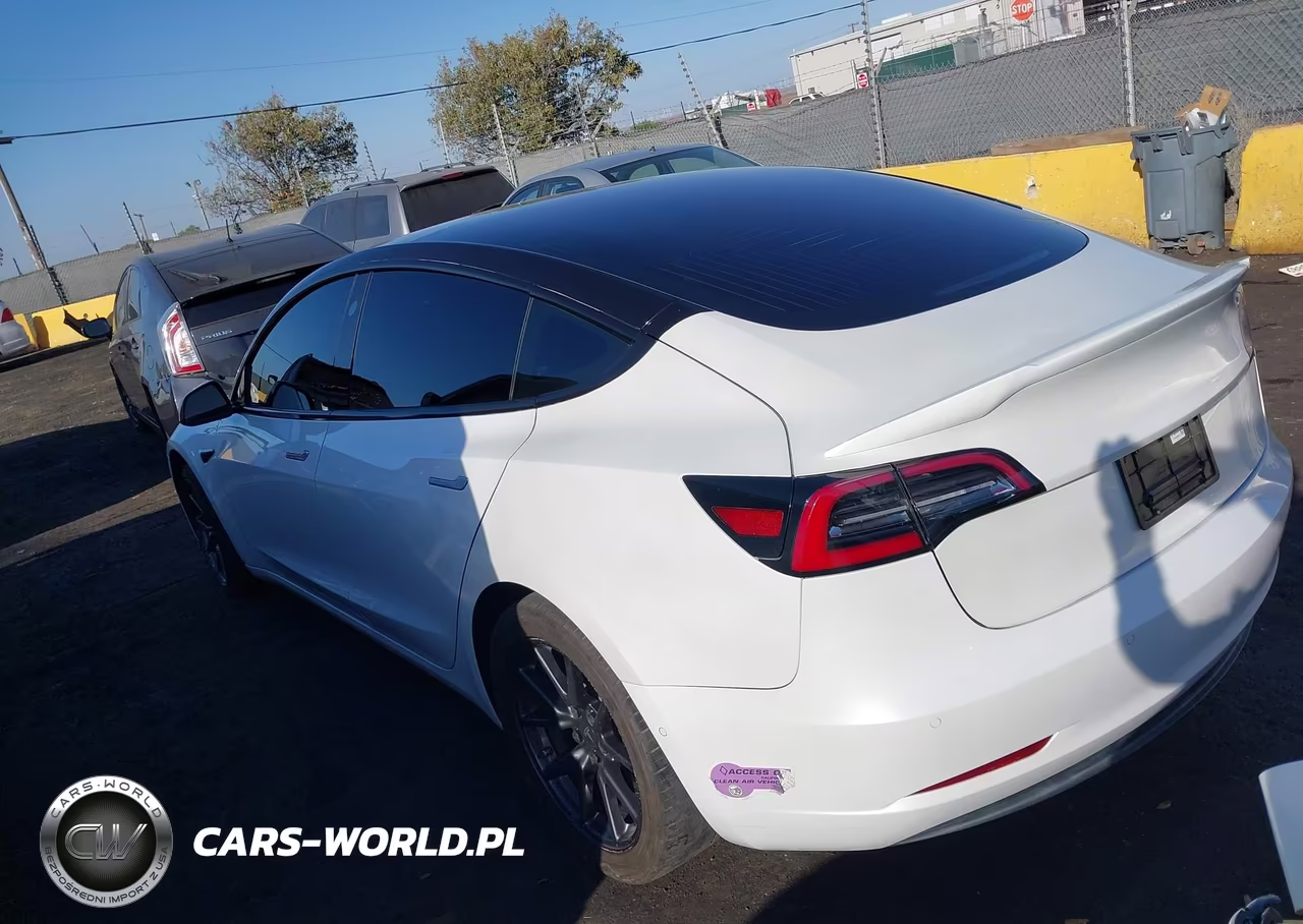 2019 Tesla Model 3 VIN:5YJ3E1EB6KF150486 - 3