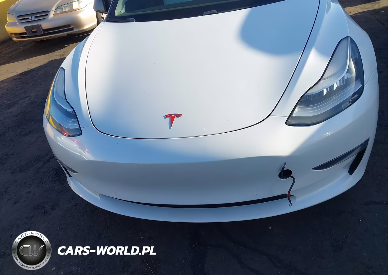 2019 Tesla Model 3 VIN:5YJ3E1EB6KF150486 - 6