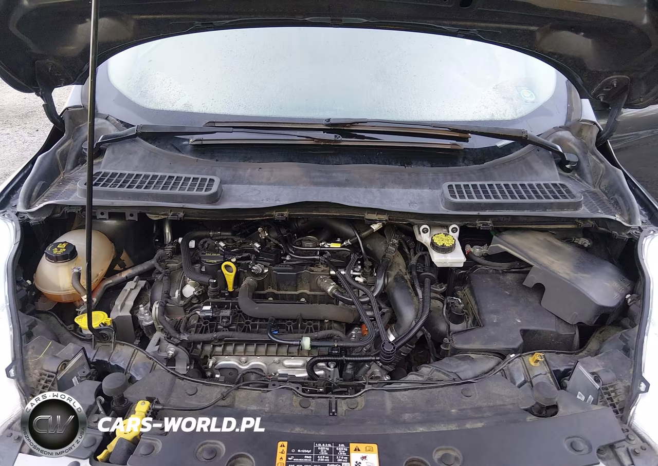 2019 Ford Escape Sel VIN:1FMCU0HD4KUB28676 - 10