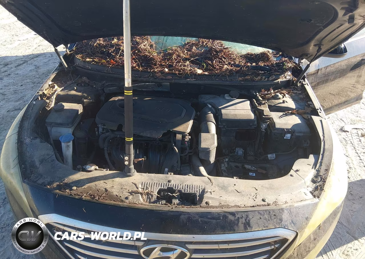 2015 Hyundai Sonata Se VIN:5NPE24AF5FH160753 - 10