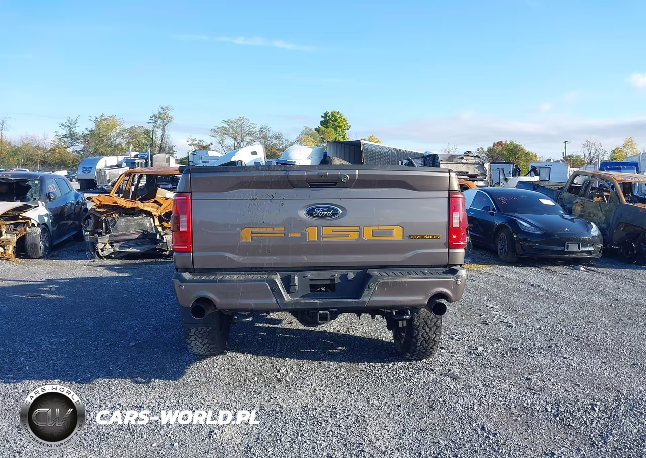 2023 Ford F-150 Tremor VIN:1FTEW1E89PFC71283 - 16