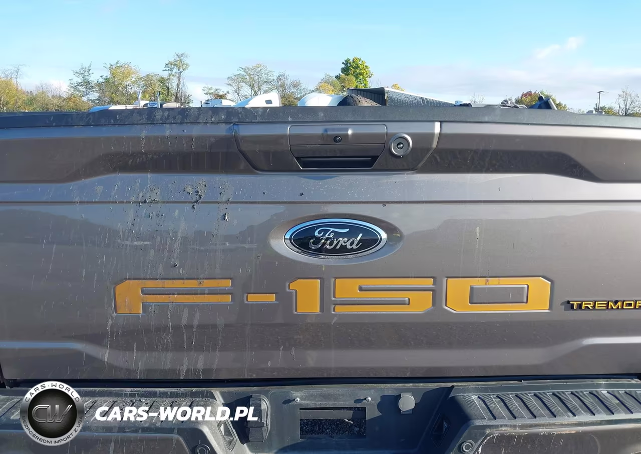 2023 Ford F-150 Tremor VIN:1FTEW1E89PFC71283 - 18