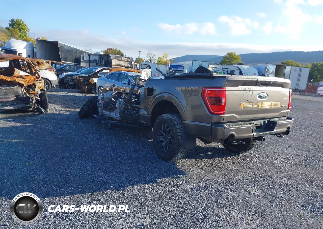 2023 Ford F-150 Tremor VIN:1FTEW1E89PFC71283 - 3