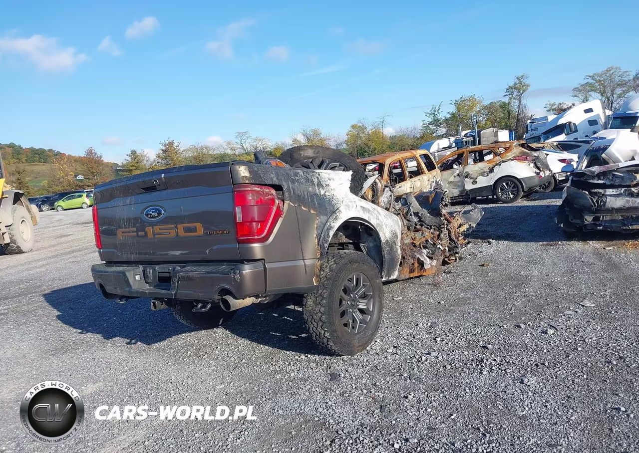 2023 Ford F-150 Tremor VIN:1FTEW1E89PFC71283 - 4