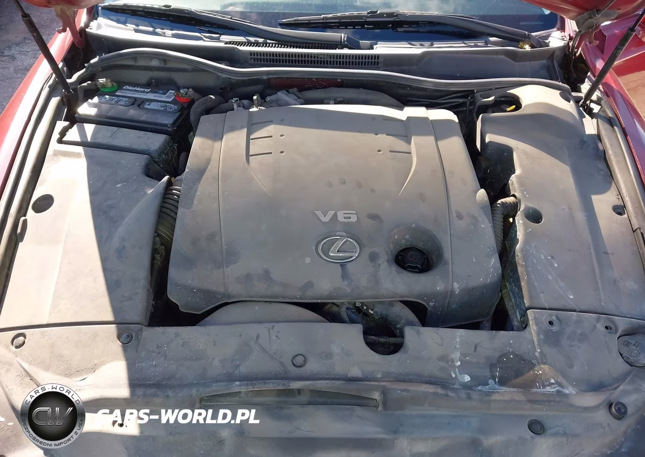 2006 Lexus Is 250 VIN:JTHBK262462008850 - 10