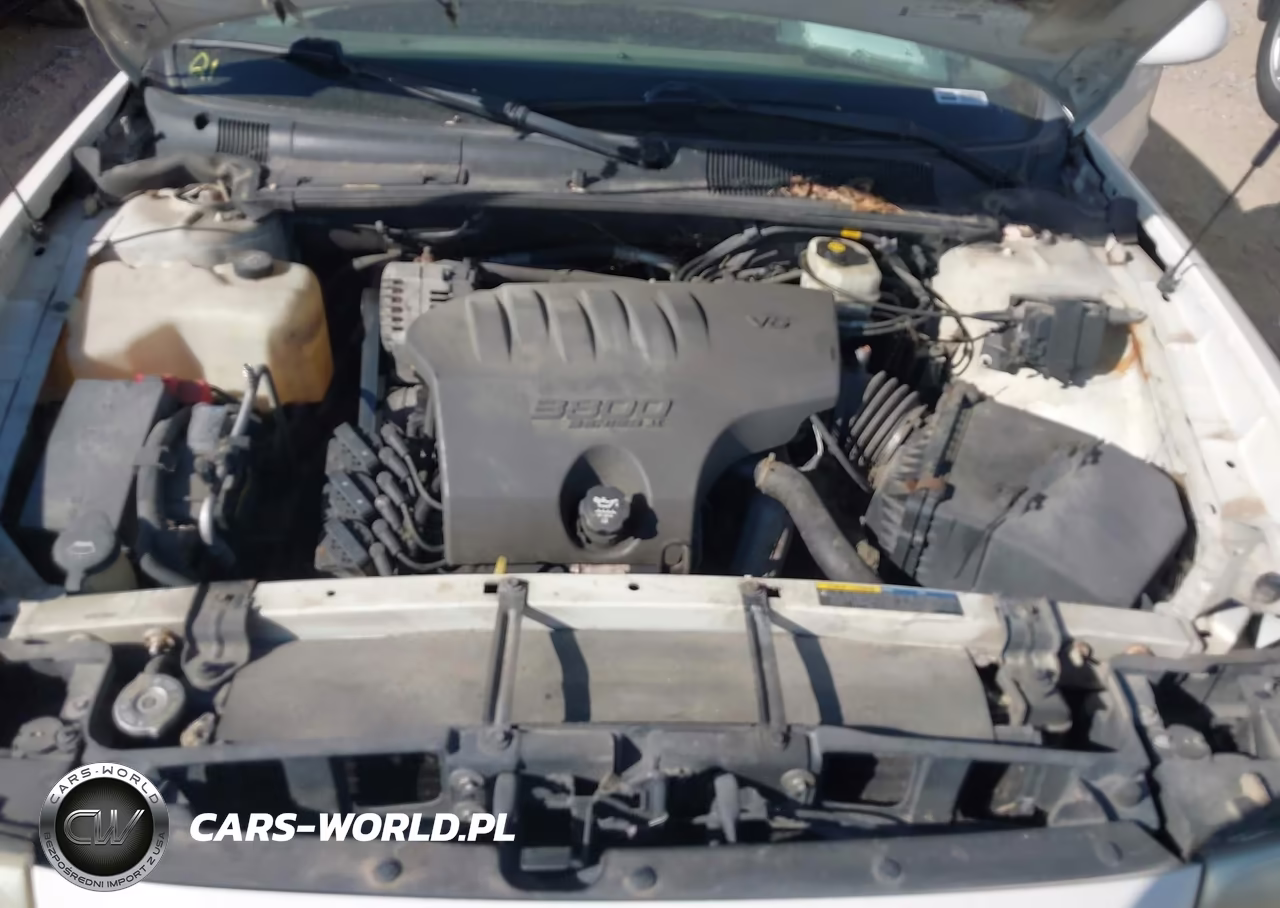 2003 Buick Lesabre Custom VIN:1G4HP52K03U110260 - 10