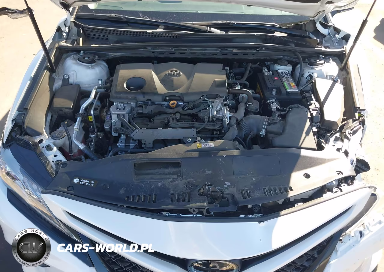 2019 Toyota Camry Xse VIN:4T1B61HKXKU749768 - 10