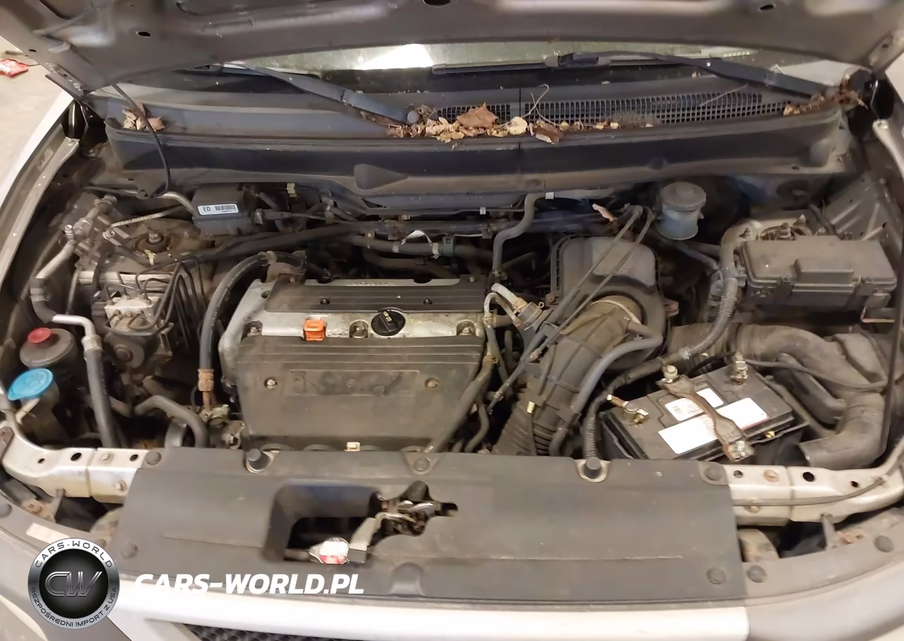 2003 Honda Element Ex VIN:5J6YH28513L028992 - 10