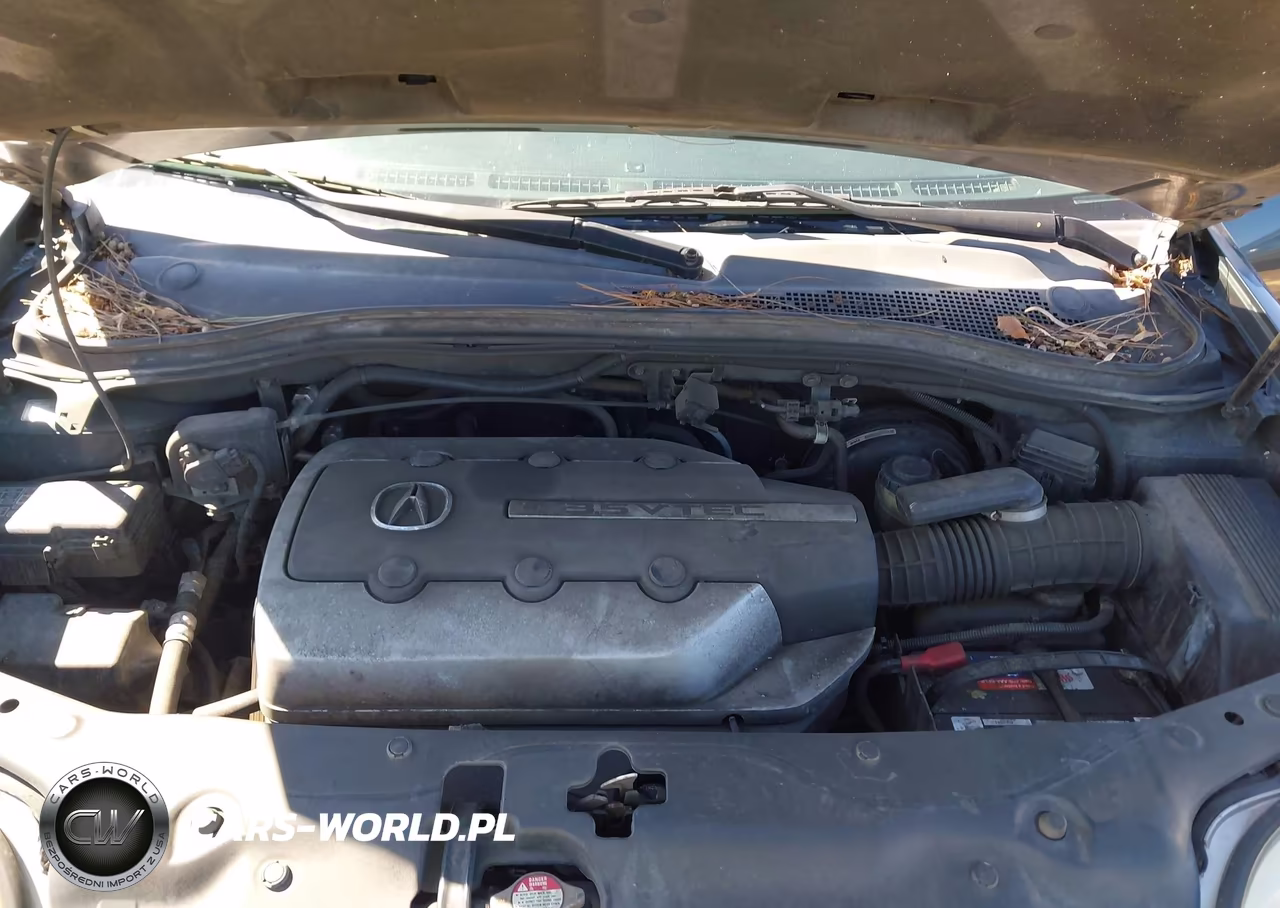 2006 Acura Mdx VIN:2HNYD18946H502007 - 10