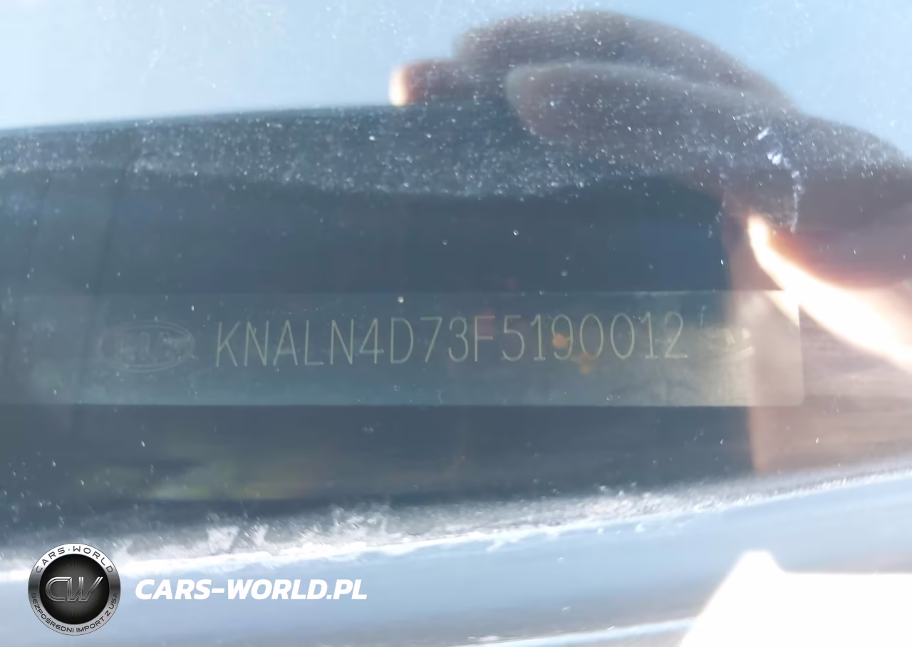2015 Kia Cadenza Premium VIN:KNALN4D73F5190012 - 9