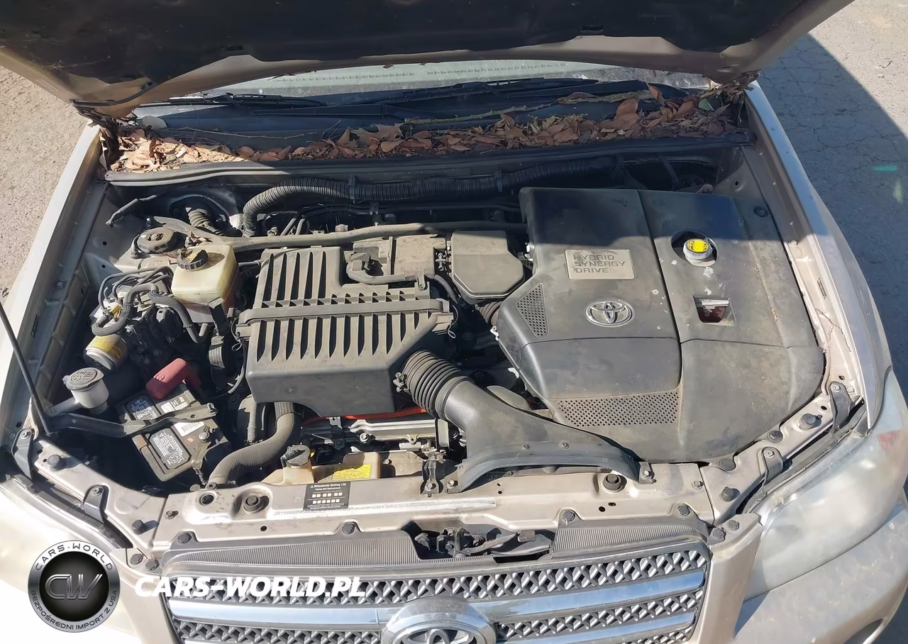 2007 Toyota Highlander Hybrid Limited V6 VIN:JTEDW21A270017049 - 10