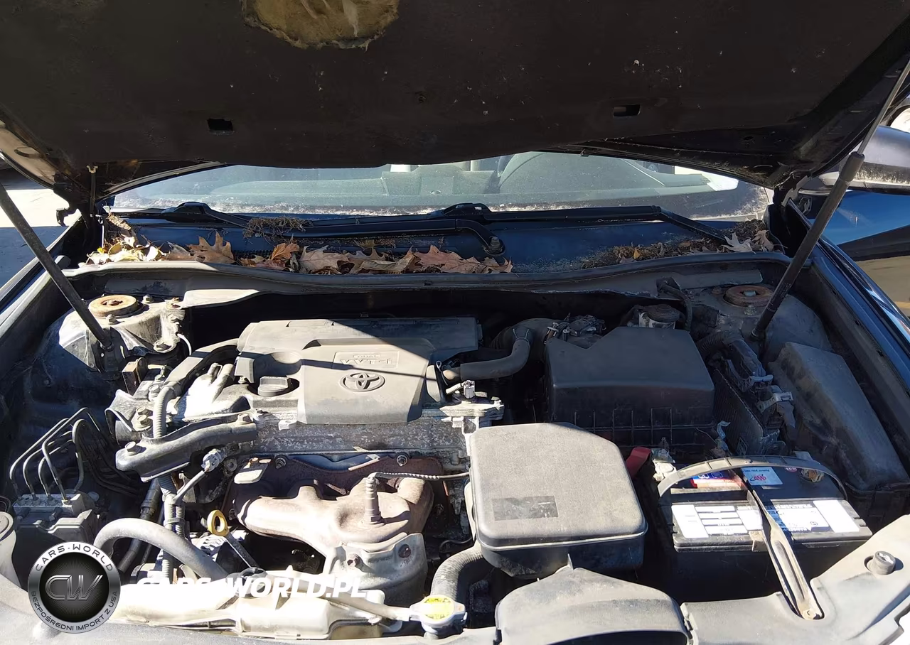 2012 Toyota Camry Xle VIN:4T4BF1FK1CR245197 - 10