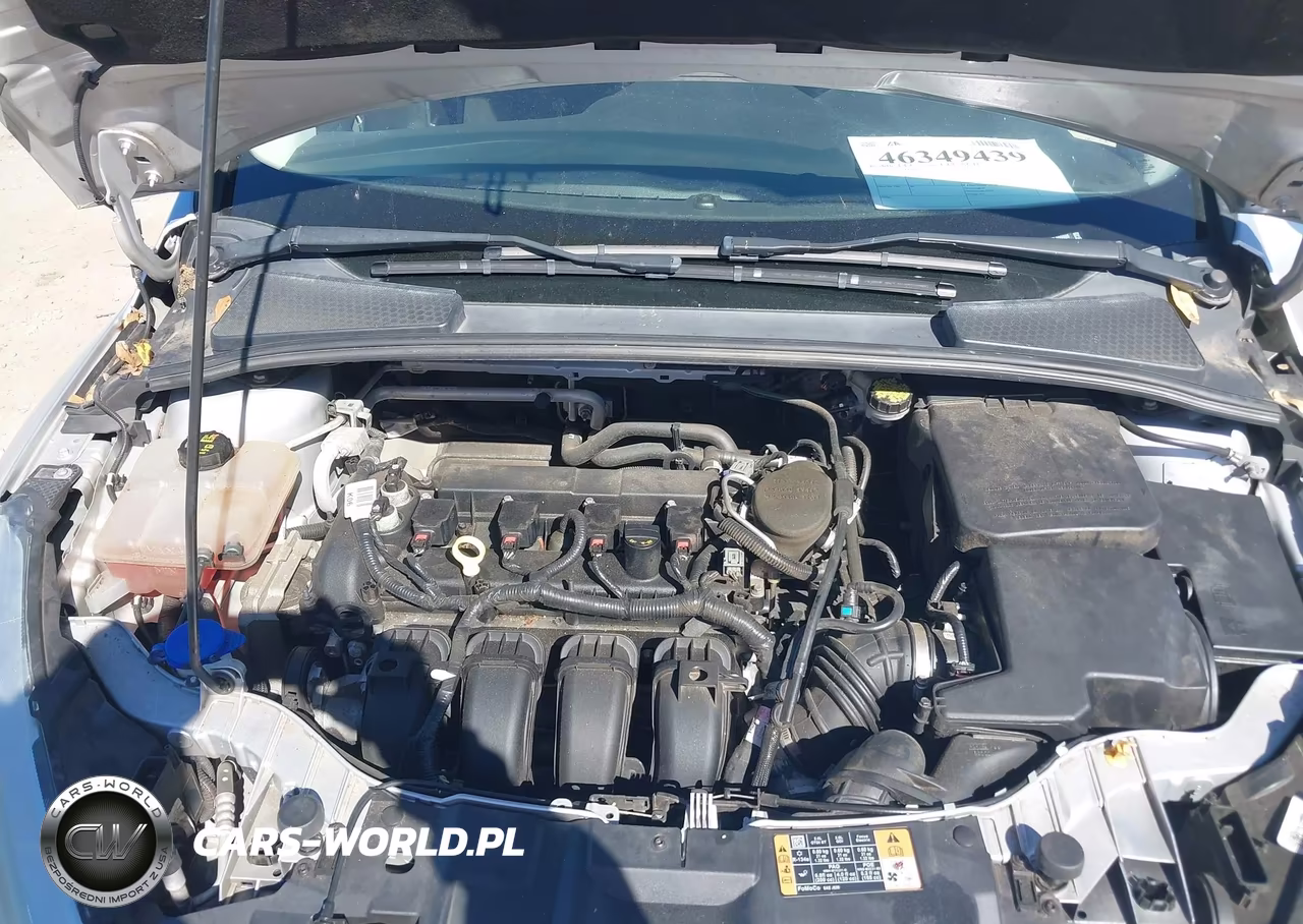 2015 Ford Focus Se VIN:1FADP3F29FL209998 - 10