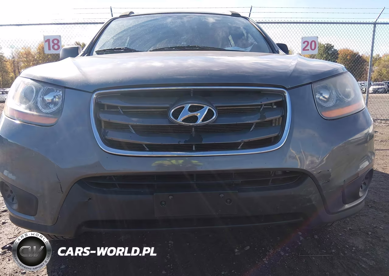 2010 Hyundai Santa Fe Gls VIN:5NMSGDAB6AH372956 - 6