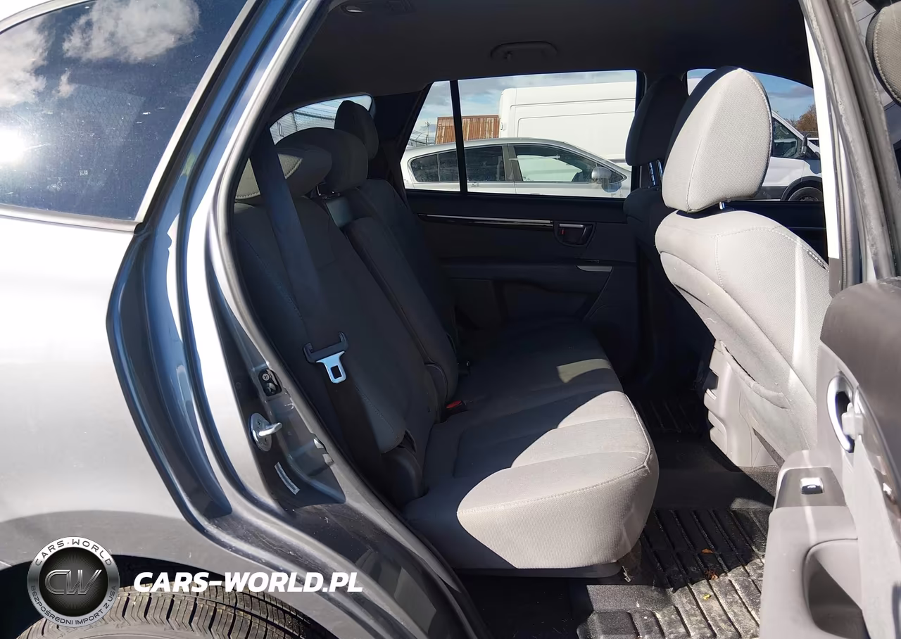 2010 Hyundai Santa Fe Gls VIN:5NMSGDAB6AH372956 - 8