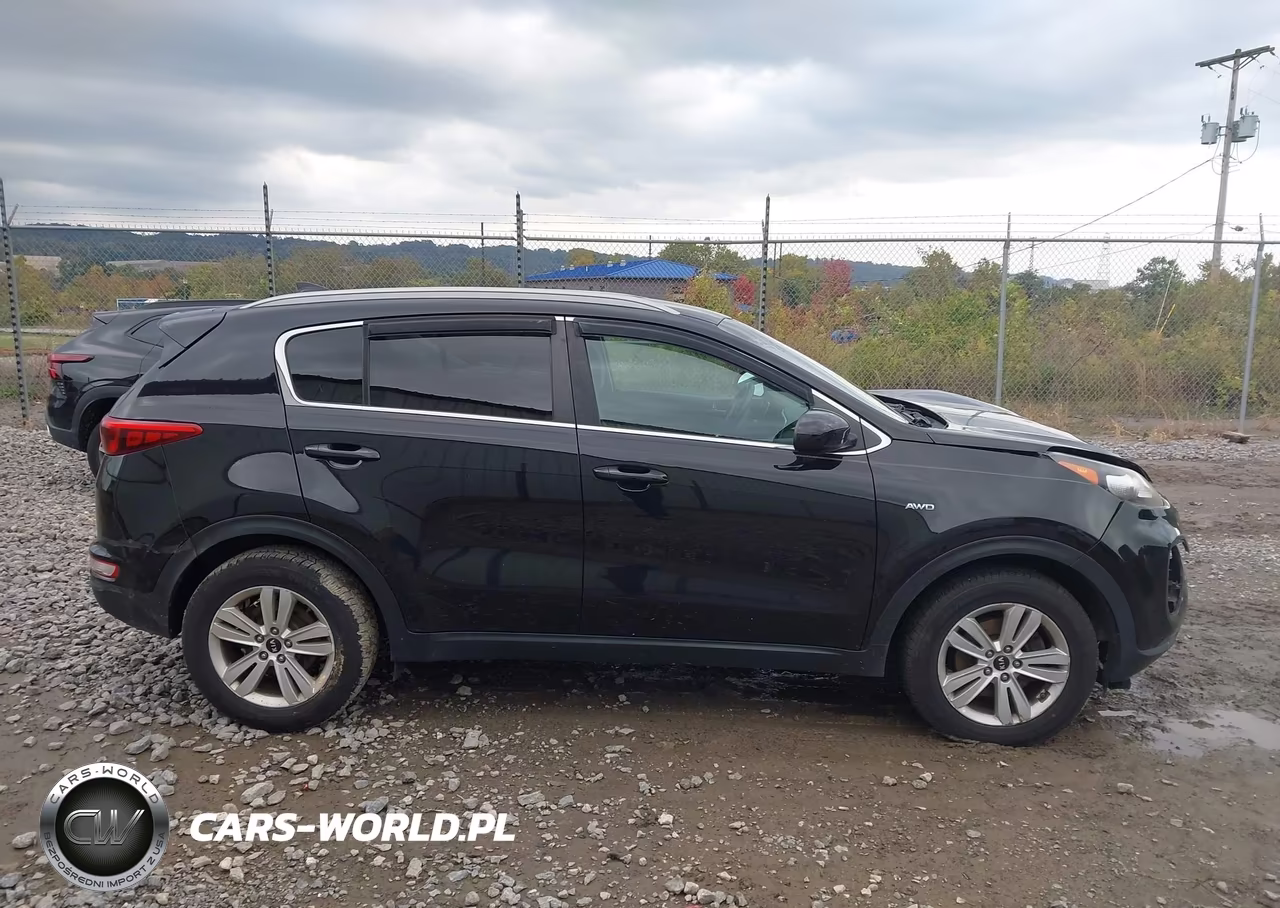 2017 Kia Sportage Lx VIN:KNDPMCAC9H7031926 - 13