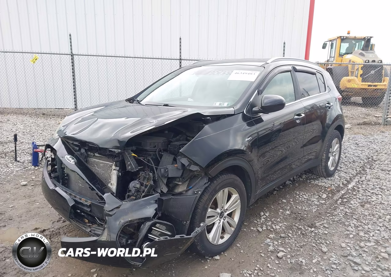 2017 Kia Sportage Lx VIN:KNDPMCAC9H7031926 - 2