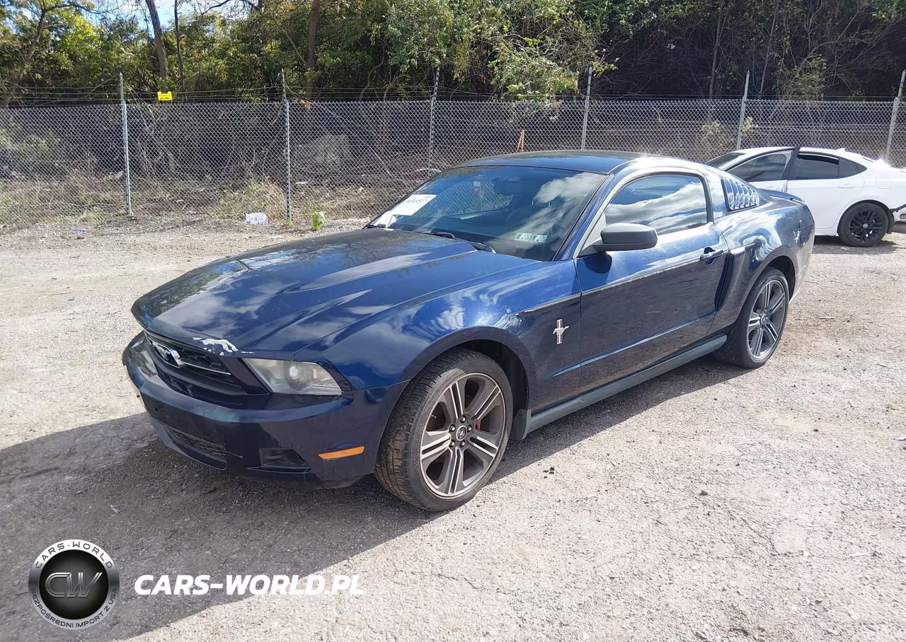 2010 Ford Mustang V6-V6 Premium VIN:1ZVBP8AN8A5156754 - 2