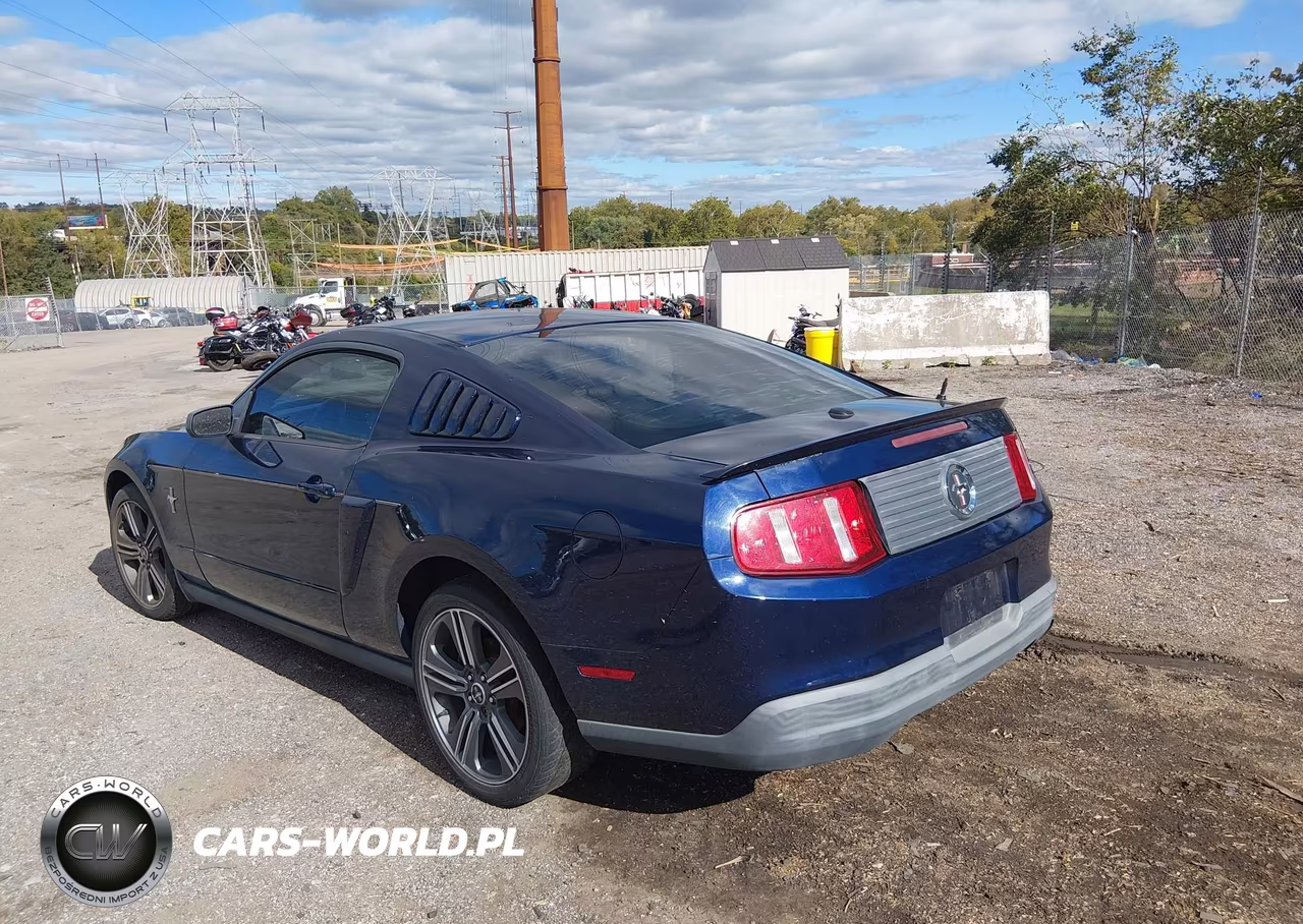 2010 Ford Mustang V6-V6 Premium VIN:1ZVBP8AN8A5156754 - 3