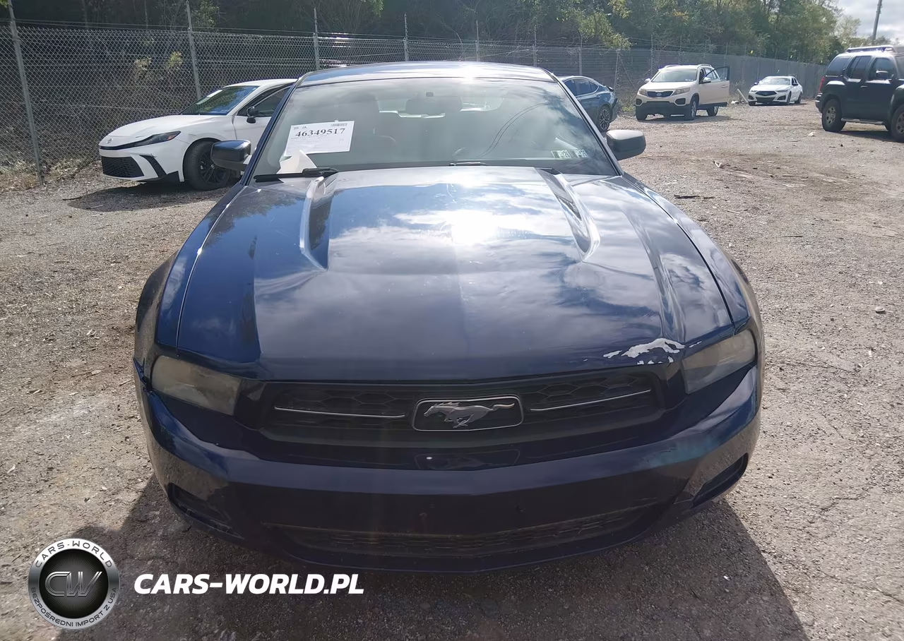 2010 Ford Mustang V6-V6 Premium VIN:1ZVBP8AN8A5156754 - 6
