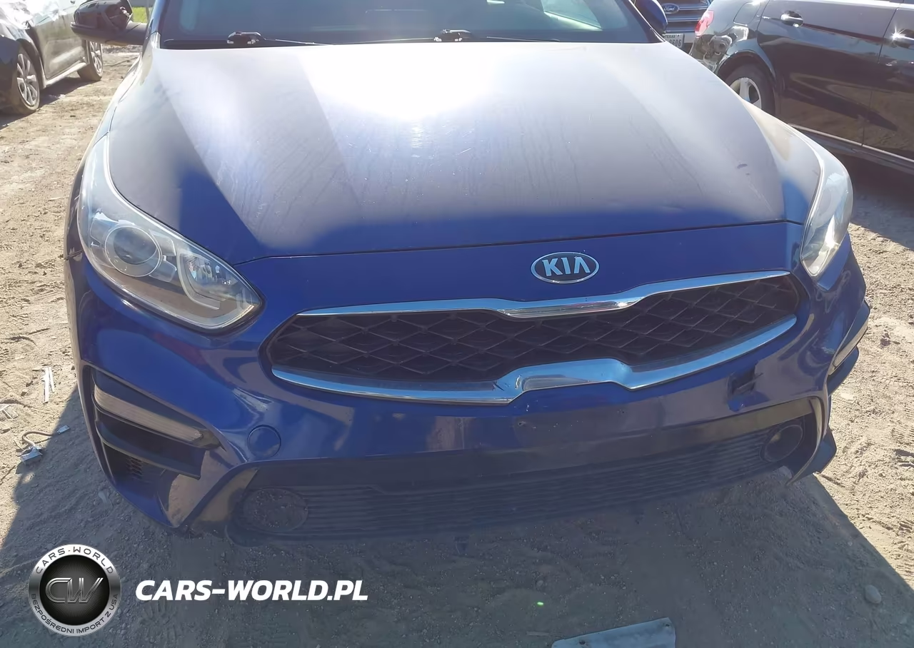 2019 Kia Forte S VIN:3KPF34ADXKE065216 - 14