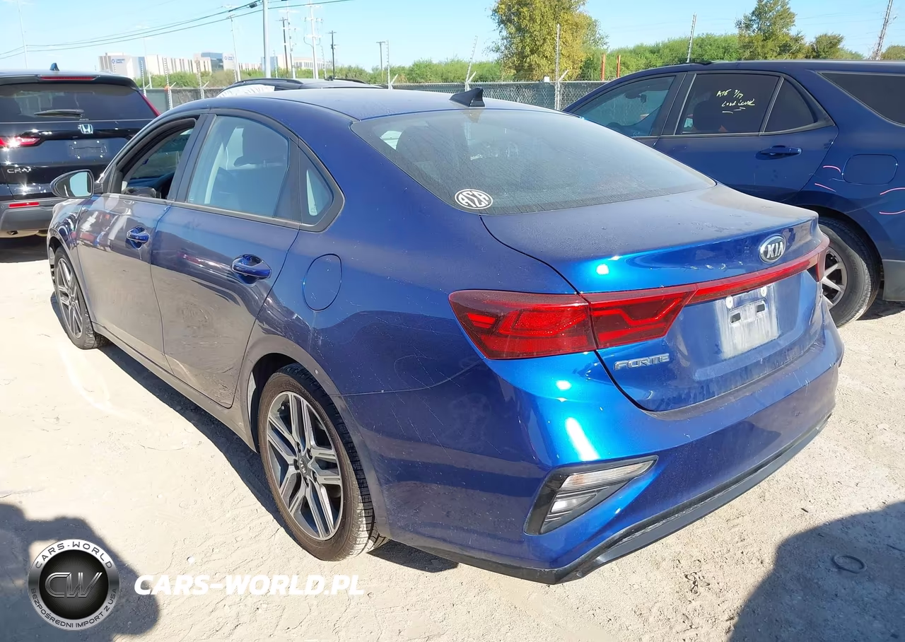 2019 Kia Forte S VIN:3KPF34ADXKE065216 - 3