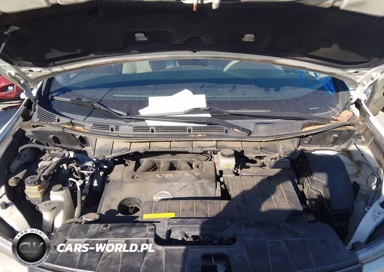 2015 Nissan Quest Platinum-S-Sl-Sv VIN:JN8AE2KP2F9128664 - 10