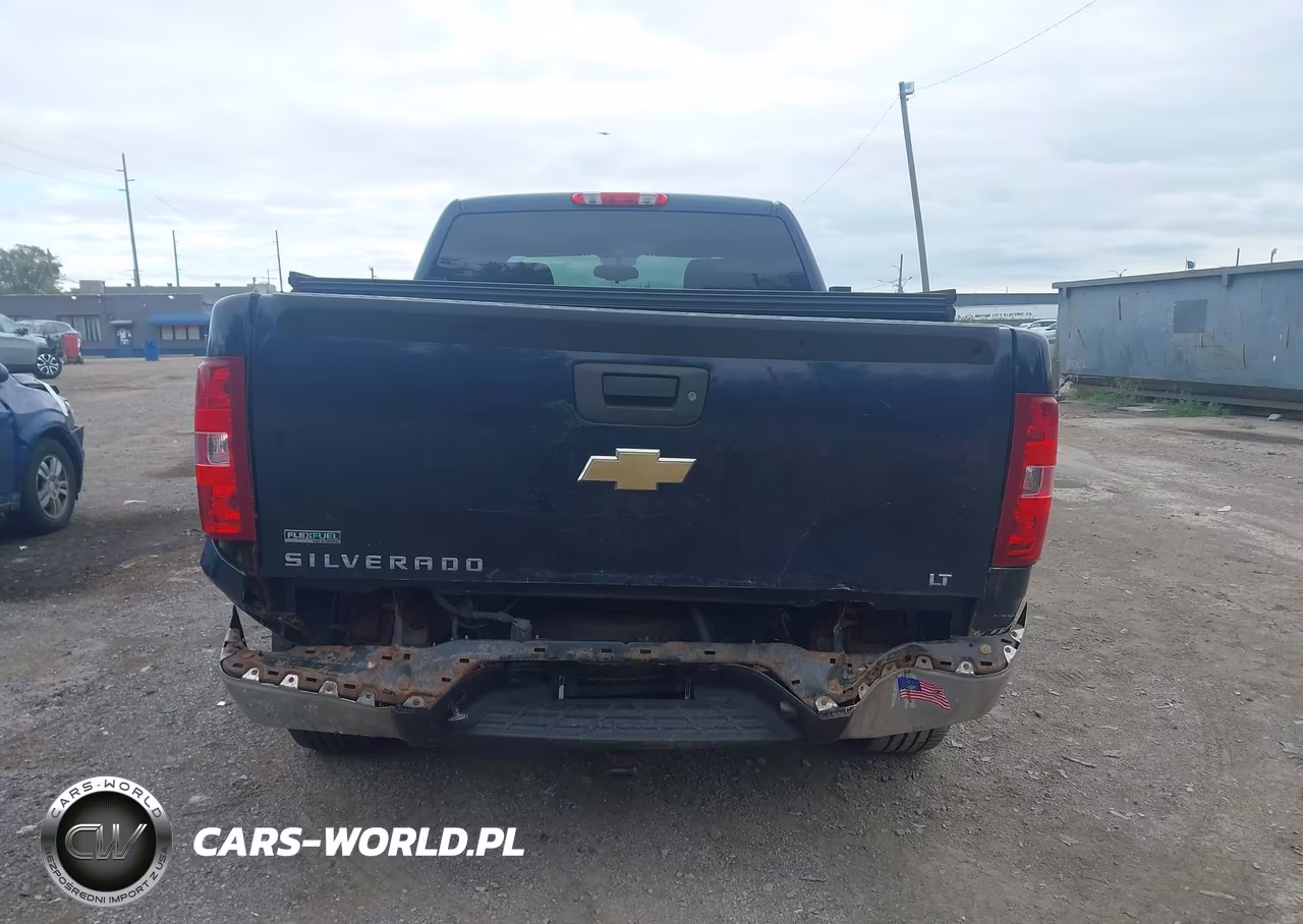 2010 Chevrolet Silverado 1500 Lt VIN:1GCSCSE09AZ108862 - 16
