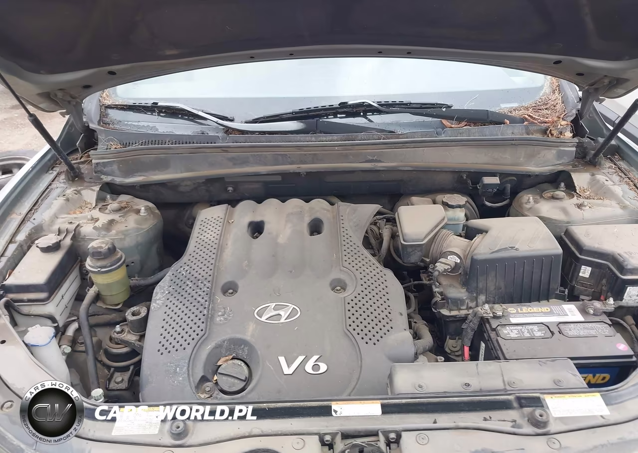 2007 Hyundai Santa Fe Gls VIN:KM8SG13D37U147016 - 10