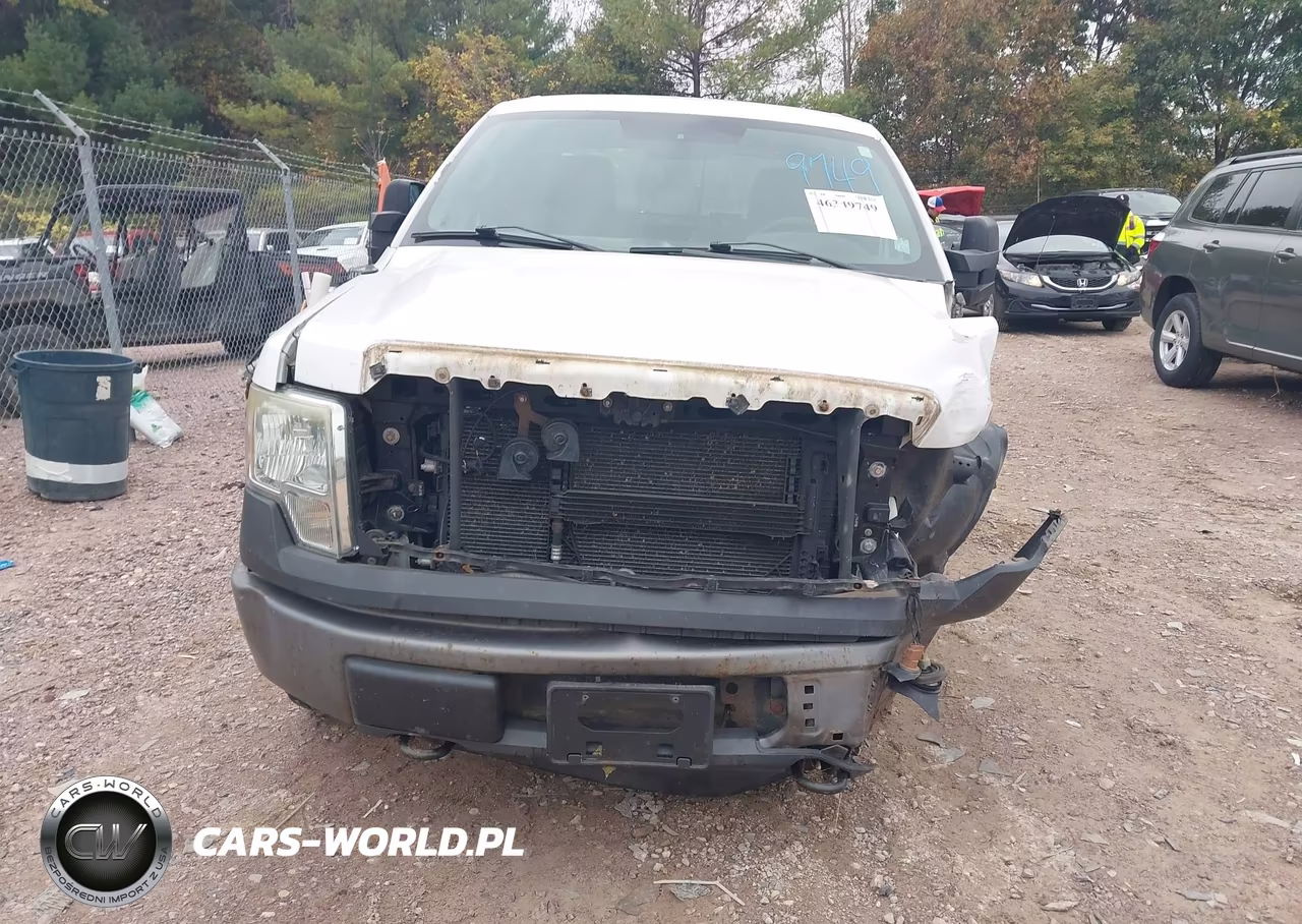 2010 Ford F-150 Fx4-Lariat-Xl-Xlt VIN:1FTFX1EV3AKE38789 - 13