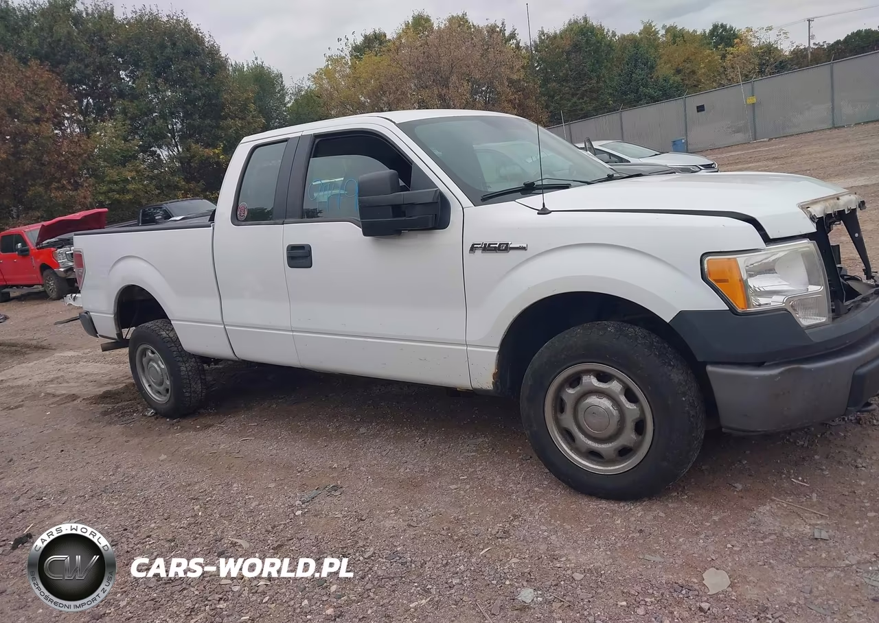 2010 Ford F-150 Fx4-Lariat-Xl-Xlt VIN:1FTFX1EV3AKE38789 - 14