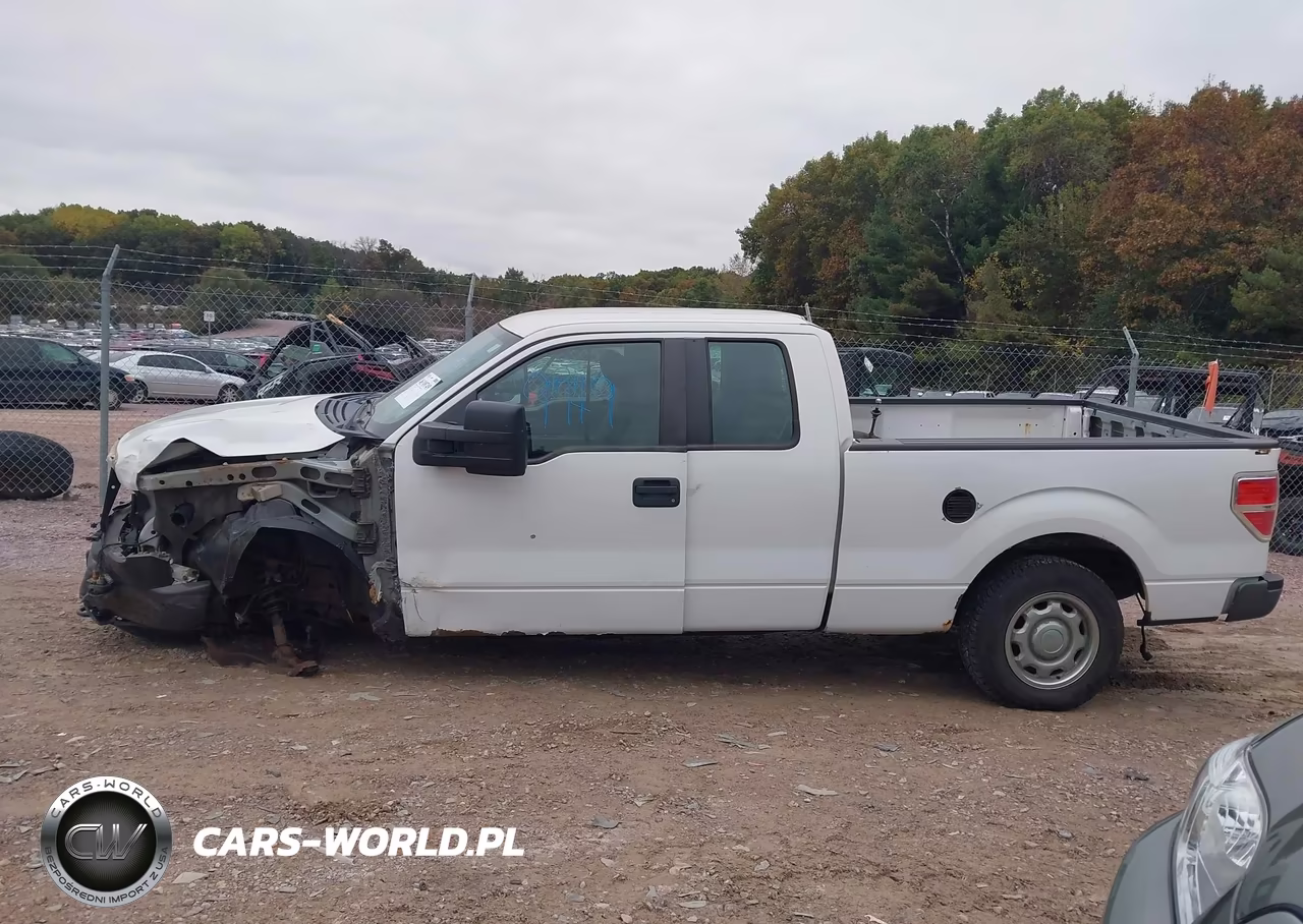 2010 Ford F-150 Fx4-Lariat-Xl-Xlt VIN:1FTFX1EV3AKE38789 - 15