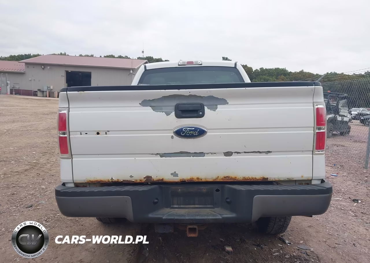 2010 Ford F-150 Fx4-Lariat-Xl-Xlt VIN:1FTFX1EV3AKE38789 - 17