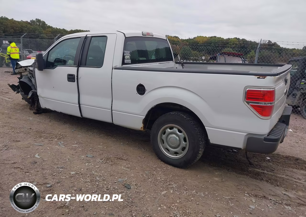 2010 Ford F-150 Fx4-Lariat-Xl-Xlt VIN:1FTFX1EV3AKE38789 - 3