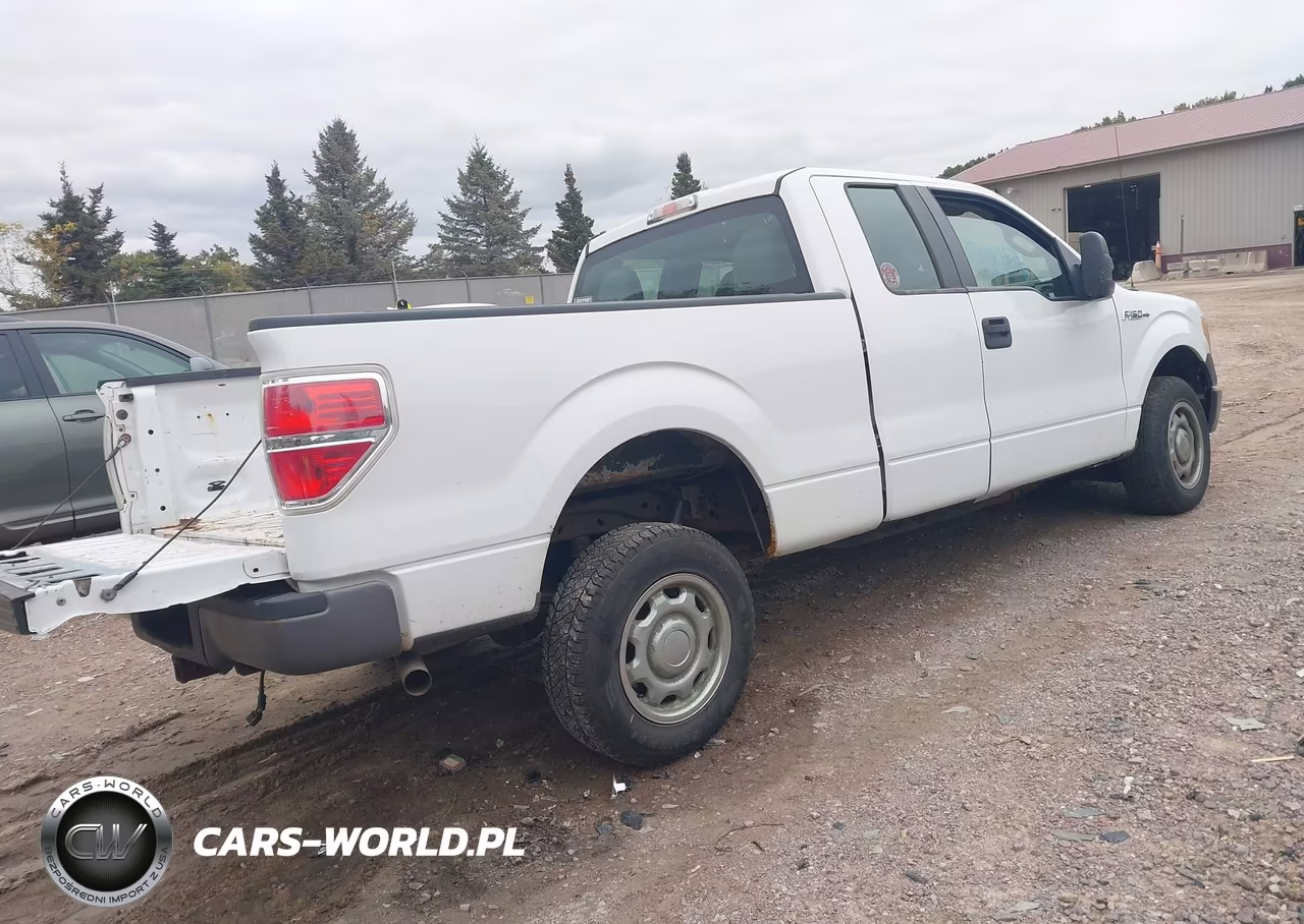 2010 Ford F-150 Fx4-Lariat-Xl-Xlt VIN:1FTFX1EV3AKE38789 - 4