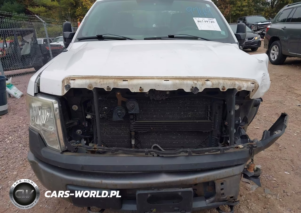 2010 Ford F-150 Fx4-Lariat-Xl-Xlt VIN:1FTFX1EV3AKE38789 - 6