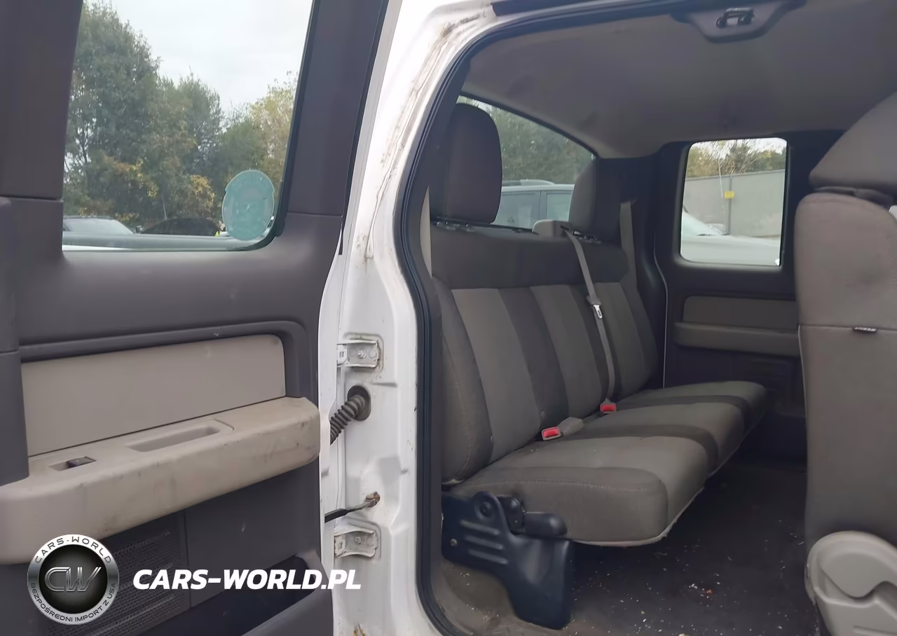 2010 Ford F-150 Fx4-Lariat-Xl-Xlt VIN:1FTFX1EV3AKE38789 - 8
