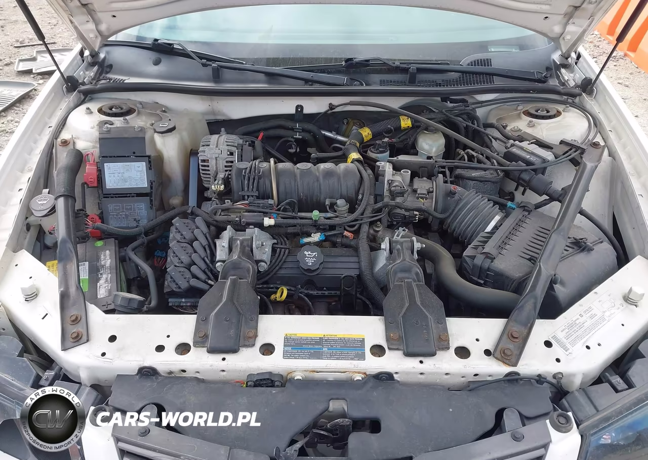 2004 Chevrolet Impala Ls VIN:2G1WH52K849351127 - 10