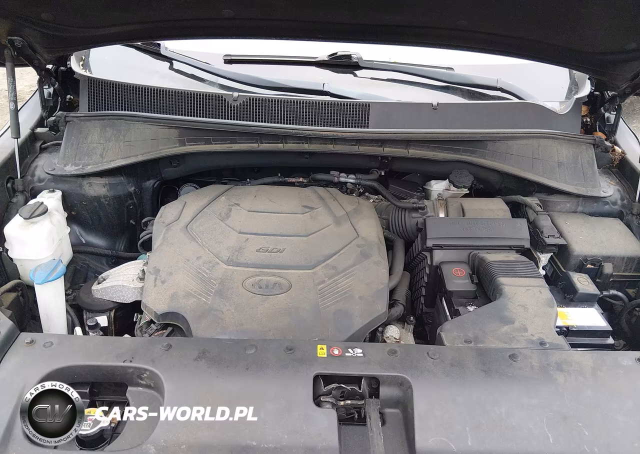 2019 Kia Sorento 3.3L Sxl VIN:5XYPKDA52KG451387 - 10