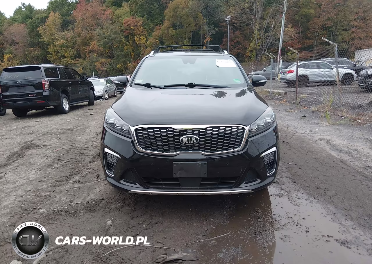2019 Kia Sorento 3.3L Sxl VIN:5XYPKDA52KG451387 - 12